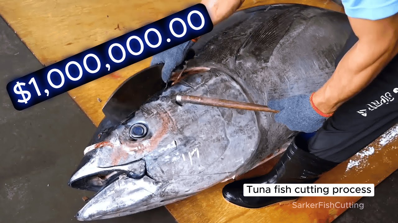 Giant tuna fish cutting 😮😮 bluefin tuna !! YouTube