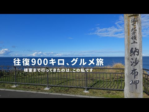 【北海道・根室、厚岸、釧路の旅】厚岸の牡蠣と根室最果て納沙布岬を目指す旅【北海道移住／田舎暮らし】