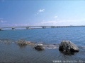 風流夢見船 湘南ボーイ&山里