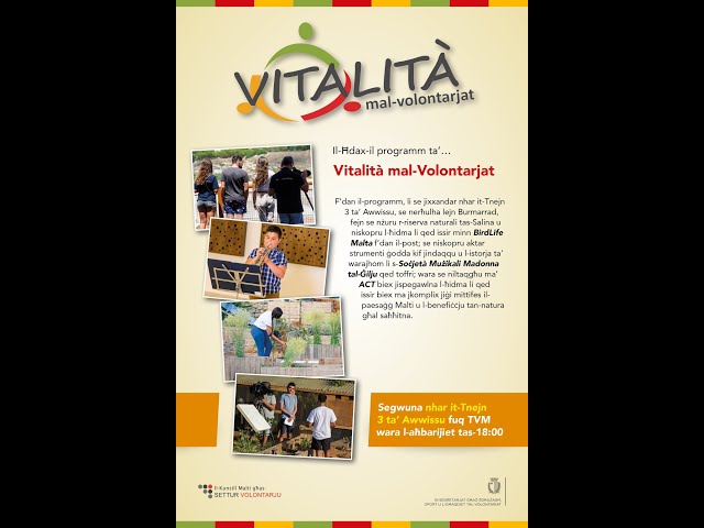 Vitalita 11