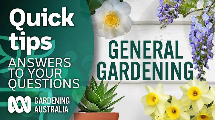 General gardening and flowers questions  | Your questions | Our answers | Gardening Australia