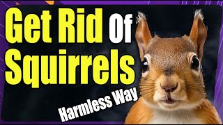 How To Keep Squirrels Out Of Fruit Trees - It Works