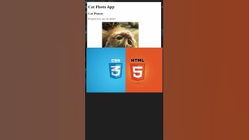 Day 23 30 day coding challenge #softwareengineer #coding #code #javascriptcoding #visualart #vscode