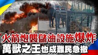 爆炸!烏克蘭利沃夫遭火箭炮襲擊儲油和軍用設施 萬獸之王也成難民急撤離@全球大視野Global_Vision