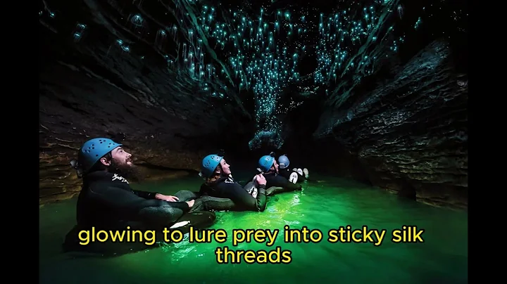 ✨ Discover the magical Waitomo Glowworm Caves in New Zealand 🌌