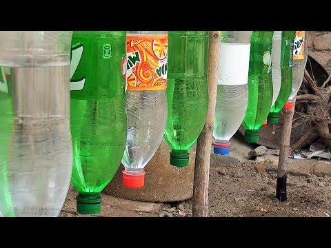 Plastic