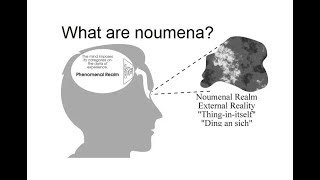 What are noumena?