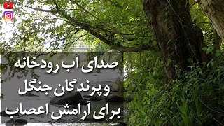 صدای طبیعت و آب | صدای جنگل | صدای شرشر آب | صدای رودخانه