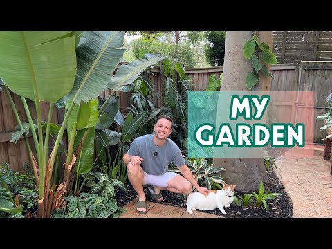 I FINALLY HAVE A GARDEN 🍃 - tour of my first outdoor space