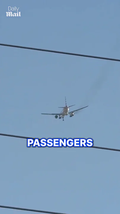 Terror as American Airlines plane catches fire mid-flight