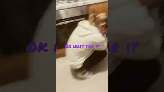 POV u walk into ur kitchen to see ur pillow exploded in the wash 😂