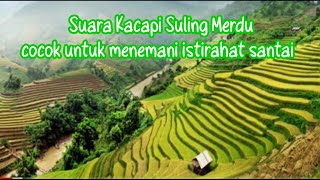 Backsound Sunda Kacapi Suling || Degung Sunda Cianjuran enak didengar