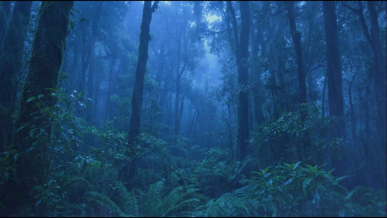 🌧️Calming Heavy Rain on a Cozy Roof at Night for Deep Sleep, Insomnia Relief & Full Relaxation 😴