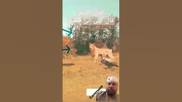 #القران_الكريم قال ربي إني ظلمت نفسي فاغفر لي #تلاوه_خاشعه للشيخ محمود الشحات #foryou #المصحف #duet