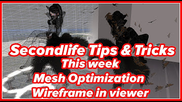 [Tutorial] Secondlife Tips & Tricks - This week Mesh Optimization and wireframe in viewer