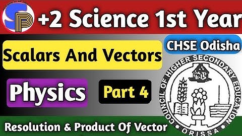 Scalar And Vector Quantities Physics | Vectors Physics Class 11th | +2 Science First Year Part4