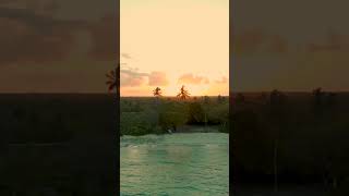 Best EDM Focus Music 2024 #shorts