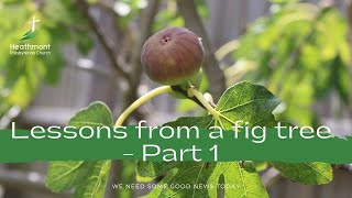 Lessons from a fig tree - Part 1. Mark 11:12-14