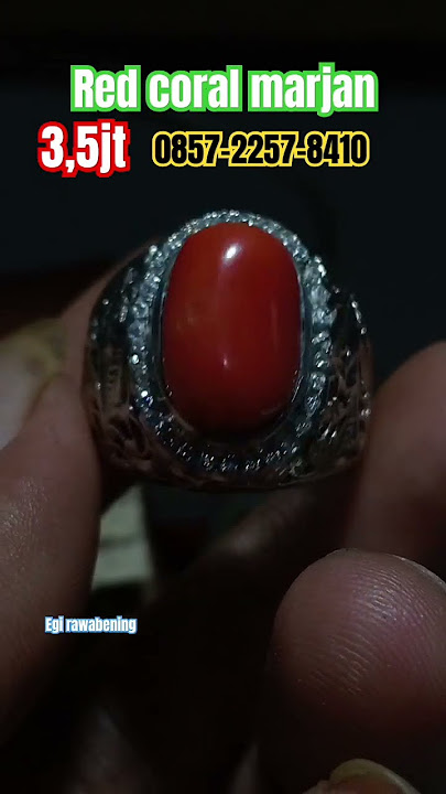 red coral Marjan laut merah #coral #marjan #malaysia #singapore