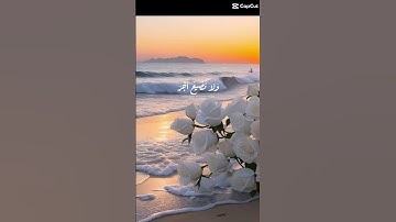 نصيب برحمتنا #قرآن #اكسبلور #تلاوة_هادئة #دويتو #الرحمن #قران_كريم #لايك #العظماء #تلاوة_خاشعة #ترند