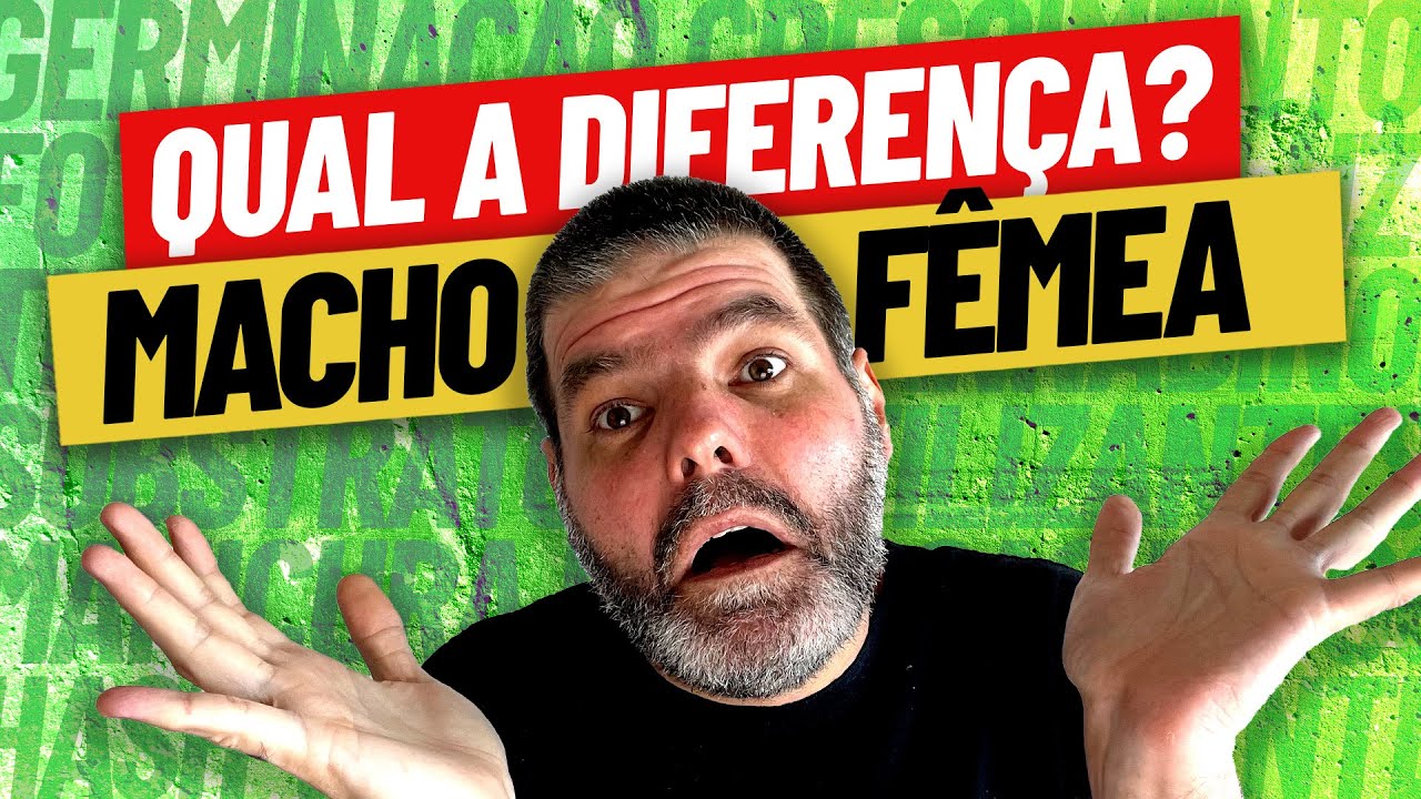 Maconha Macho e Fêmea - Como Identificar o SEXO DA PLANTA DE CANNABIS