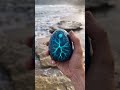 Mechanical Jellyfish Transformation 🌊🔥 Deep Ocean Robot Egg Unfolds on Beach #beforeandafter