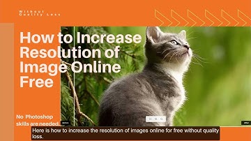 Increase Image Resolution Online Free without Losing Quality with Free AI Image Upscaler