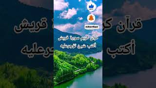 #egzonibrahimi #قرآن#قران_كريم #القرآن_نور#سورة_قريش#المصحف #الرحمن #اكسبلور#متابعه #لايك#مصر#سوريا