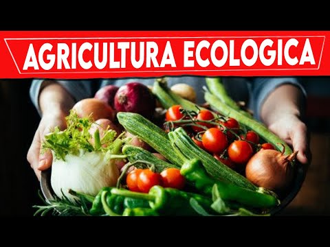 Vídeo: Què és la jardineria i l'agricultura ecològica?