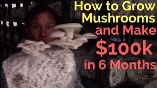 How to Grow Mushrooms & Make $100,000 in just 6 Months