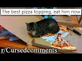 r/Cursedcomments | EAT HIM