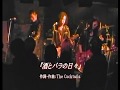 The Cocktails 『酒とバラの日々』(LIVE)
