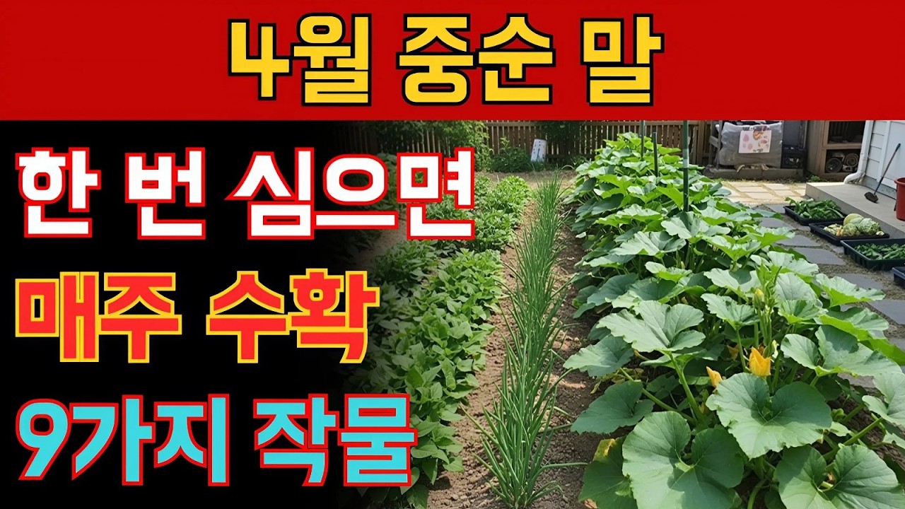 4월 중순에서 말 사이 한 번 심으면 가을까지 매주 수확하는 작물 9가지! - YouTube