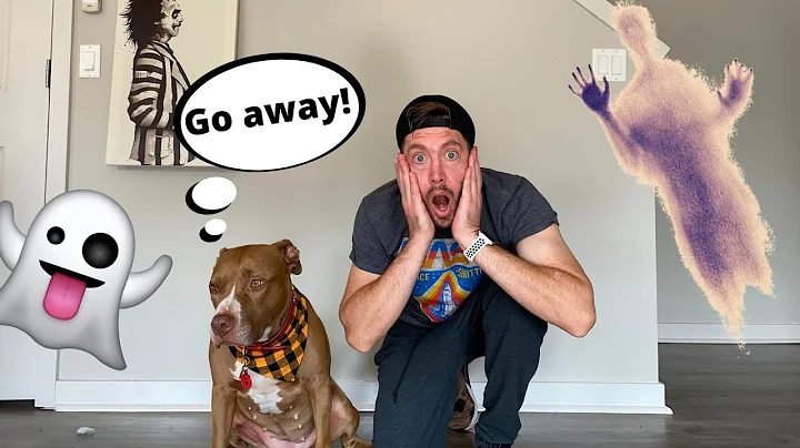 OUR HOUSE IS HAUNTED | Robby and Penny