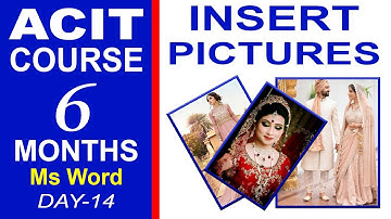 Advanced CIT Course - Microsoft Word Processing: Insert Picture & it