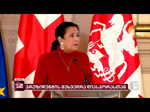 პრეზიდენტმა ემიგრანტებთან ონლაინ შეხვედრა გამართა