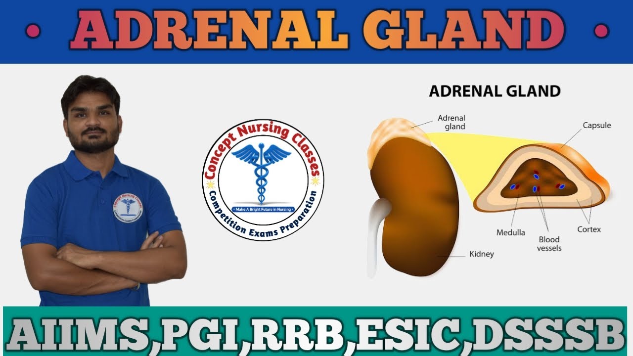 overactivity of the adrenal gland medical term