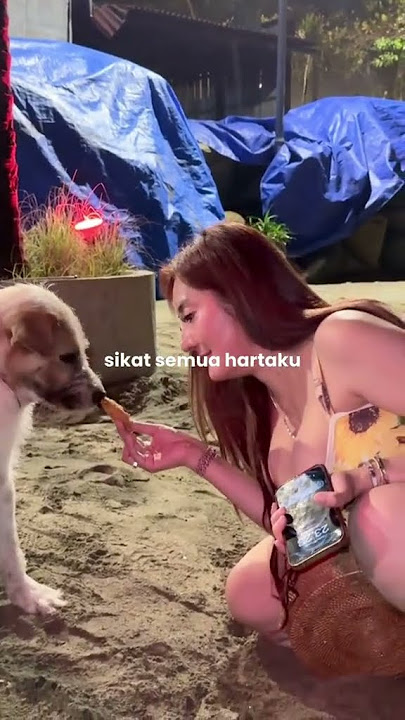 Hy semua udah lama gak ketemu