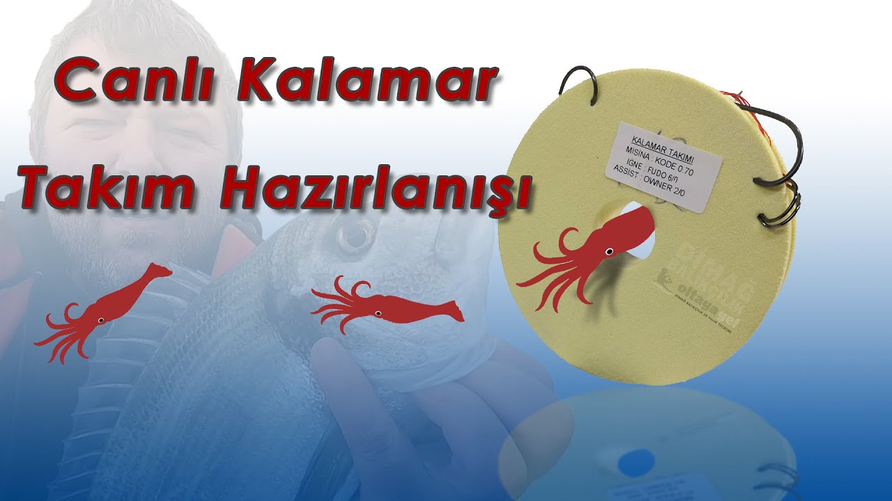 Canlı Kalamar / Fangri Mercan Takım Hazırlanışı
