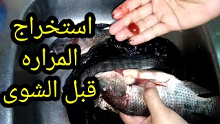 السمك طعمه مر تعالى اقولك الحل  🐟🐟