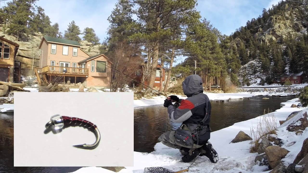 Colorado Fly Fishing January 18, 2014 YouTube
