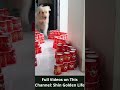 My Dog’s Reaction To The Invisible Cup Challenge! p5 #shorts #dogs
