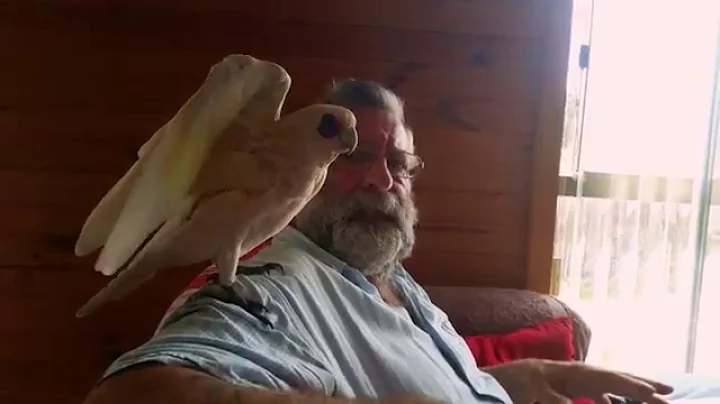 Eric loves pulling Lester's beard