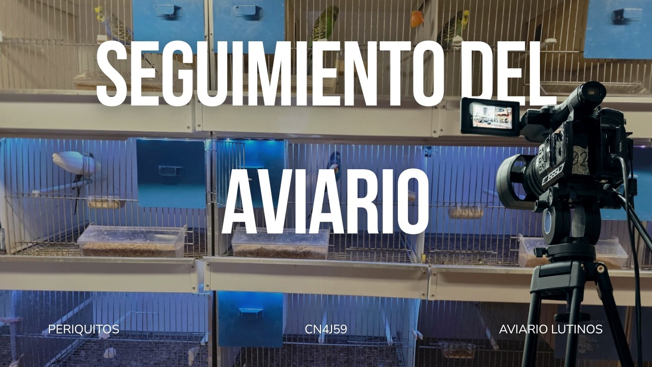 Seguimiento de mi aviario de periquitos