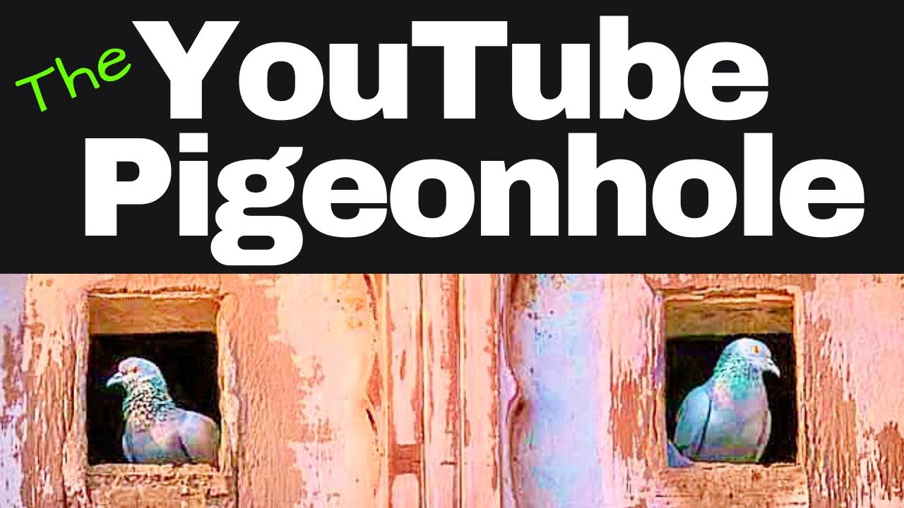The YouTube Pigeonhole A Senior on YouTube Update. YouTube