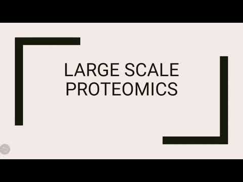 Bif401 | Large scale proteomics