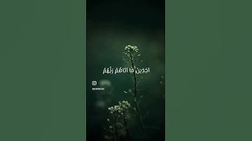 آيات من سورة الذاريات تخشع لها القلوب -القارئ شريف مصطفى 🤍