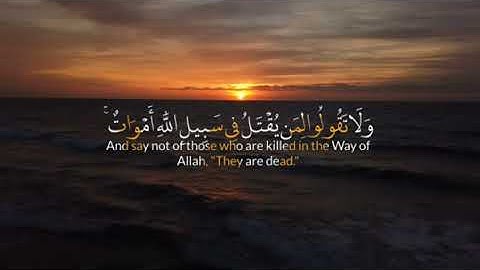 يا أيها الذين آمنوا استعينوا بالصبر والصلاة تلاوة يمنية هادئة - صوت القارئ محمد الفقيه