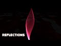 Reflections - Black Ops IIII Tag Der Toten OST