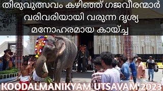 ELEPHANTS ROYAL ENTRY AFTER COMPLETING FESTIVAL തിരുവുത്സവം കഴിഞ്ഞുള്ള ഗജവീരന്മാരുടെ രാജകീയ വരവ് 🐘💞